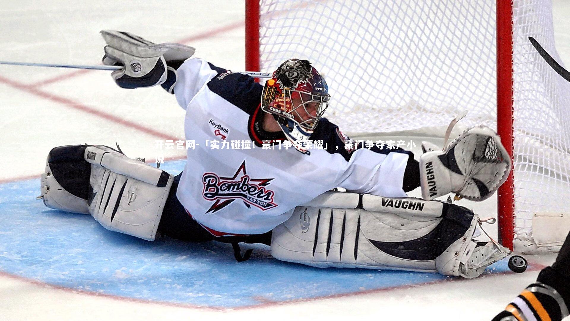 「实力碰撞！豪门争夺荣耀」，豪门争夺家产小说