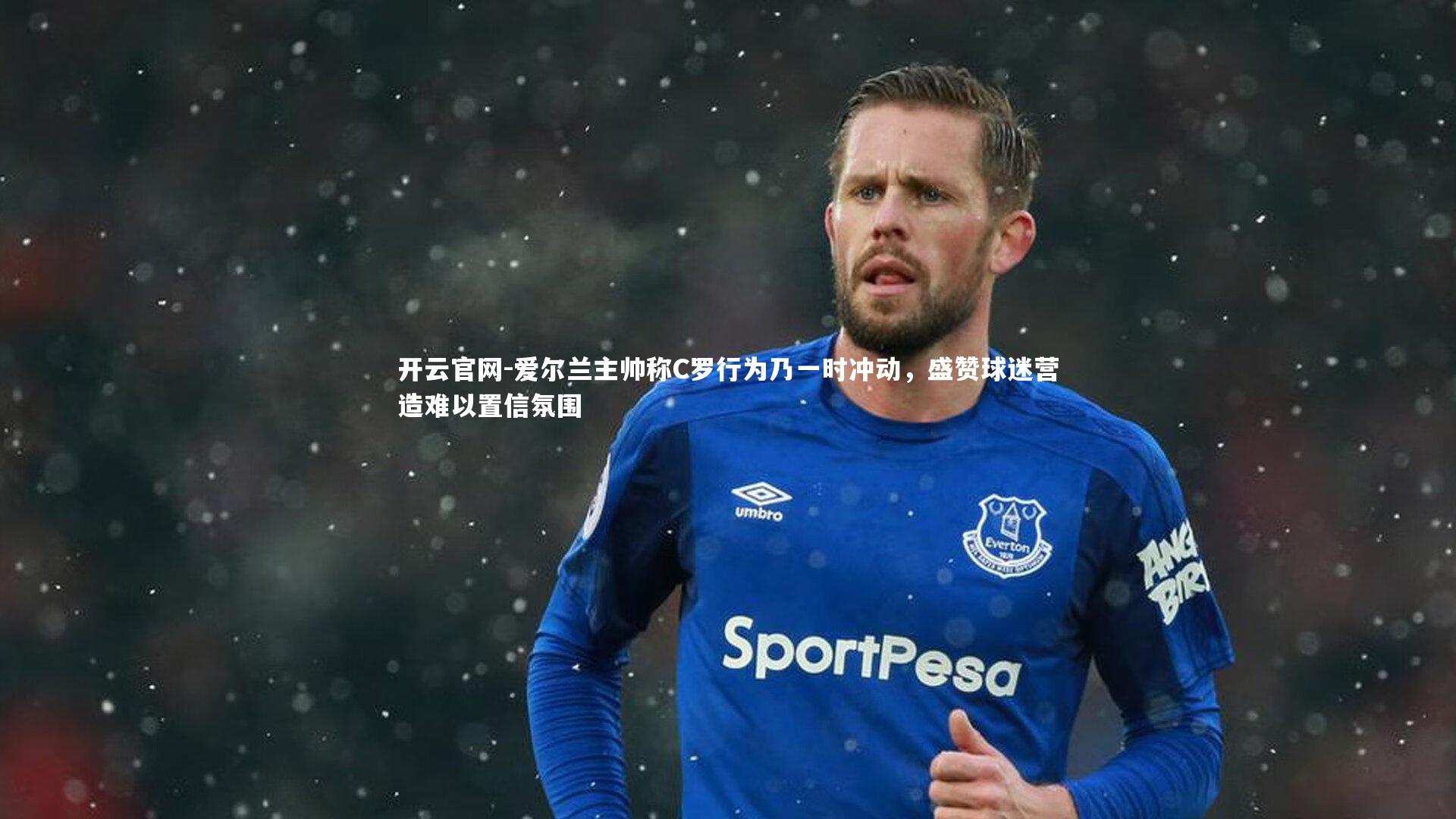 爱尔兰主帅称C罗行为乃一时冲动，盛赞球迷营造难以置信氛围